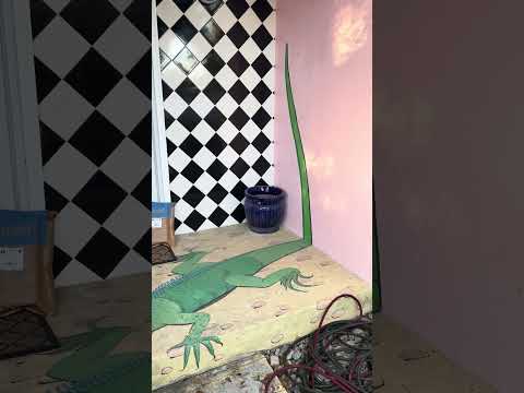 Very Cool Painted Porch in Florida