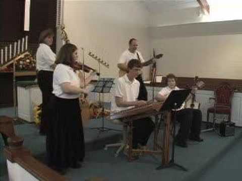 Possum Up A Gum Stump