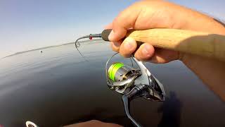 Fox rage terminator shad jigger