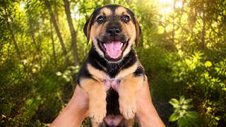 She Became So Happy After We Rescued Her