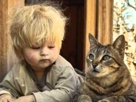 Zgodba o prijateljstvu-Čuki