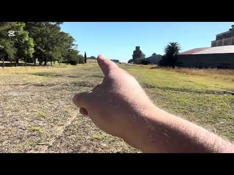 Estacion Adolfo Gonzales Chaves Ferrocarril Roca Décimo Tercer Capítulo 