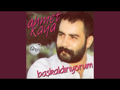 Gül Dikeni