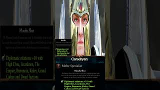 Caradryan, the New Legendary Diplomat Hero of the High Elves added in Tides of Torment DLC