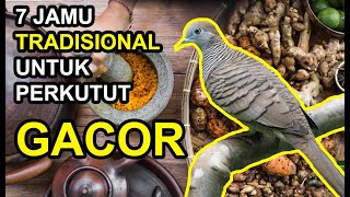 Download lagu 7 Traditional Herbal Remedies for Turtle Doves to Make Them Sing and Perform Faster mp3
