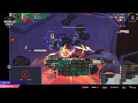 Big Dumb Guild vs Mythic Wrathion WORLD THIRD Holy Pally POV