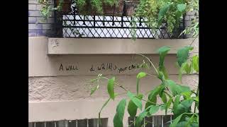 The Mountain Goats - Counterfeit Iowa Plates [Radio Session]