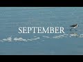 September Swell