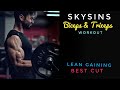 Skysins Killer Biceps Triceps Workout Best Bicep Gain Workout