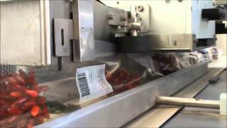 preview picture of video 'Lavorazione Peperoncino - Azienda Agrocola Buttarelli'