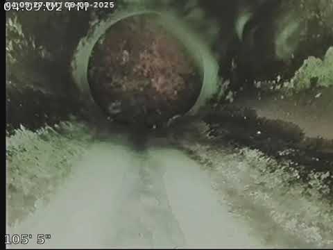 Falcon Roost Re-inspection