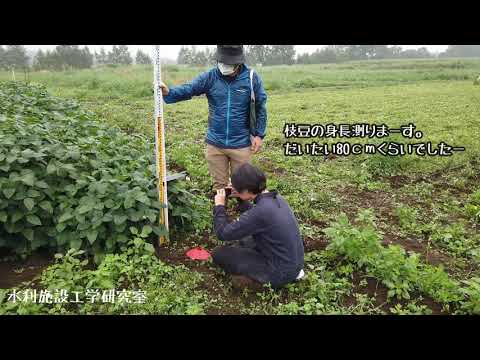 水利施設工学研究室 研究紹介シリーズ② 実験圃場編