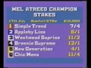 1992 Champion Stakes