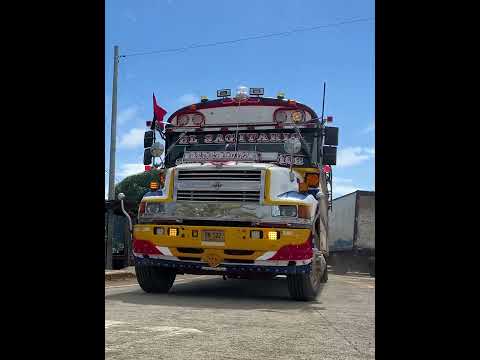 Carretera Siuna - Rosita - Sahsa - Puerto Cabezas - Costa Caribe Norte  📸#NicaraguaÚnicaOriginal 🌋