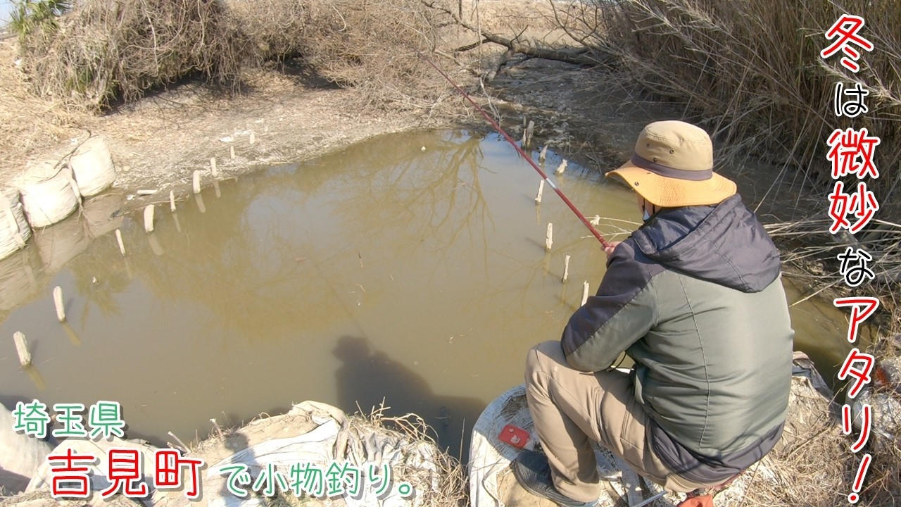 冬の〇〇の微妙なアタリを見逃すなー！ 埼玉県 吉見町で小物釣り。