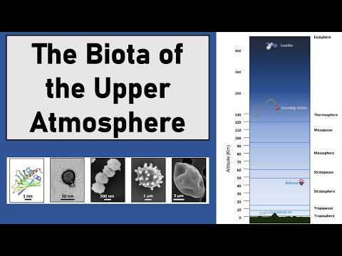 Biota of the Upper Atmosphere