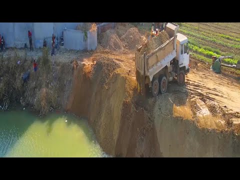 Relentless Road Reinforcement: D60P Dozer Fights Solid Rock with Nonstop Truck Loads