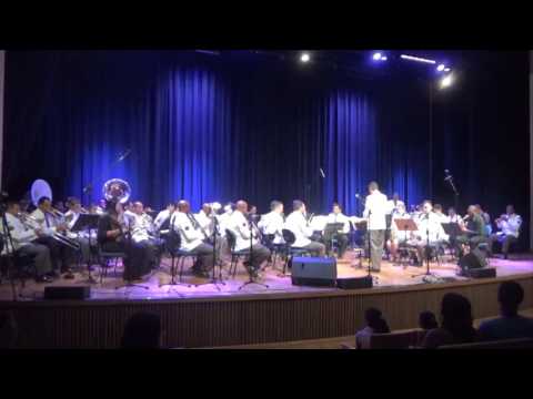 Seleção de Tim Maia - Banda de Concertos do 20º Batalhão da  Polícia Militar e Convidados