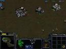 STARCRAFT DEMO I