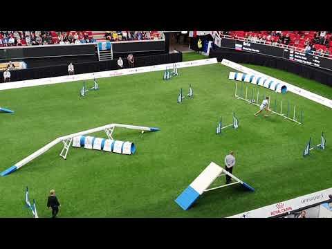 SOLA Ekaterina Sapriko Small Agility AWC 2019