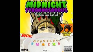 Midnight Tyrannosaurus - The One From Dark (Original Mix)