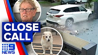 Exclusive footage of man and dog narrowly dodging swerving car | 9 News Australia