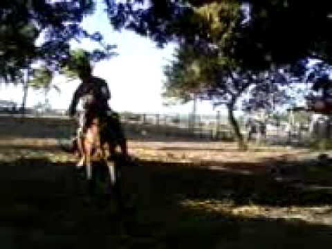 Mestre Marcelo Brito - Cavalo Vencedor