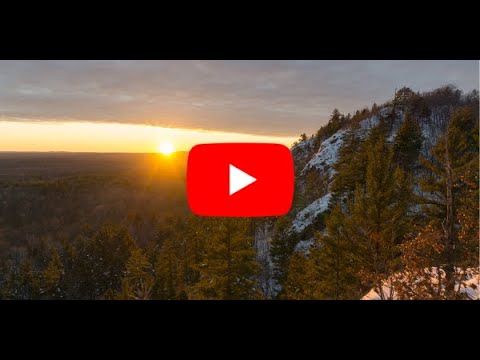 2021 Year-End Update