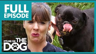 Thumbnail del capítulo