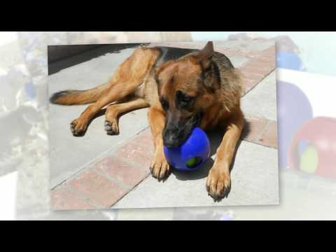 Игрушка для собак Jolly Pets Мяч двойной Teaser Ball 16 см Красный (1506RD) - фото 1 - id-p1897448218