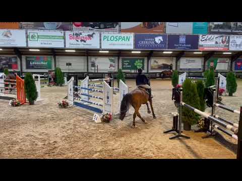 HQ: ZIROCCO BLUE VDL x CORLAND