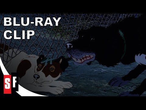 The Plague Dogs (1982) - Clip: Escape (HD)