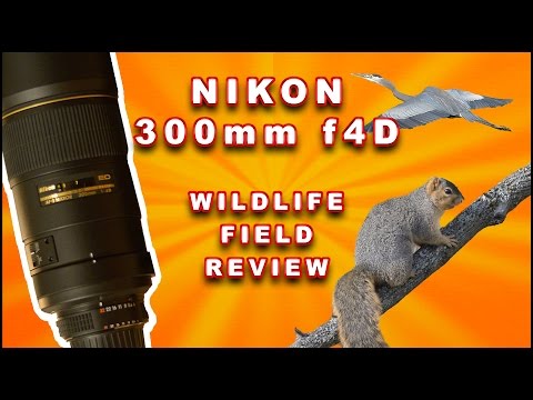 Video thumbnail for Video Review 1