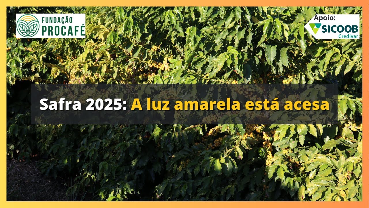 Podcast #140 - Safra 2025: A luz amarela está acesa