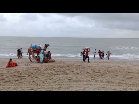 Manvi beach, Kutchh, Gujarat