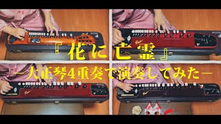 【花に亡霊／ヨルシカ】エレキ大正琴4重奏アレンジで演奏してみた【早紅夜(sakuya)】