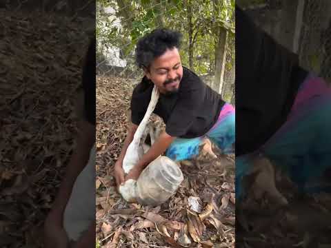 dog lover support Karen 😓😭😓