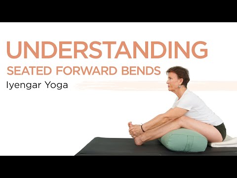 Iyengar Yoga Paschimottanasana--Understanding Seated Forward Bends-Beginner Yoga