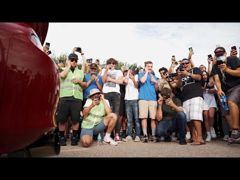 SharkFest Official Aftermovie 2020 | (4K)