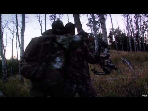 Headhunter's TV - Headhunting Colorado