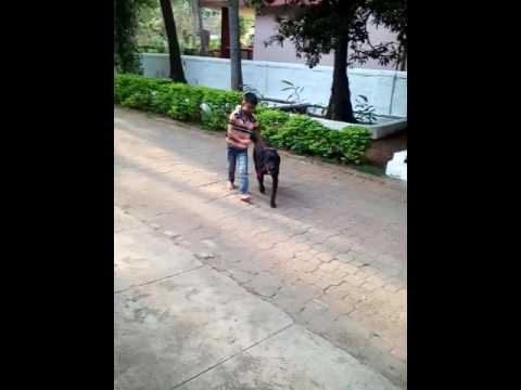 My Brother son Prajwal with dog is a Best Friend