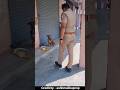 पुलिस वाले का खाना कुत्ता खा गया Shorts Shortvid
