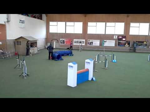 EO-Quali.2016 Kaiseraugst Cendrine & Happy Agility