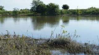 Рыбалка в гулькевичском районе