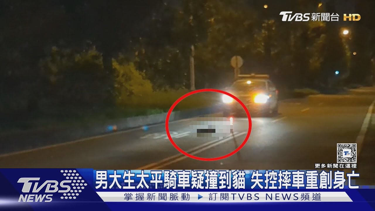 男大生太平騎車疑撞到貓 失控摔車重創身亡