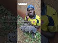 Funny Tiktok Video Kenya Comedy Tiktok Shorts