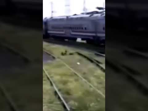Trem de Passageiros da FEPASA  Partindo de Araraquara SP  Até São Carlos SP