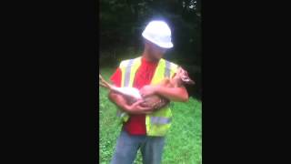 BABY DEER CRIES EVERY TIME IT TRIES TO BE PUT DOWN