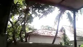 Download lagu Lagu ngapote mp3
