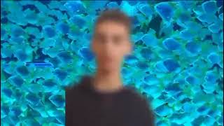 If I were an ocean creature